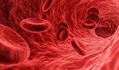 Ученые: COVID-19 деформирует клетки крови - newizv.ru