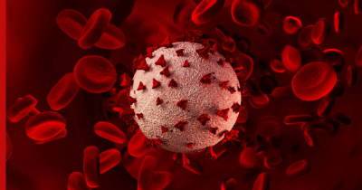 О влиянии COVID-19 на изменение клетки крови узнали ученые - profile.ru