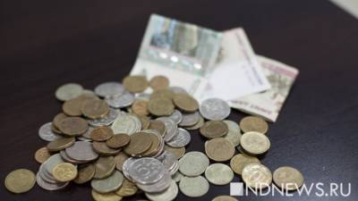 Тюменка прописала у себя за деньги 15 мигрантов - newdaynews.ru - Тюменская обл. - Тюмень