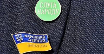 Ресторатор, борец, актер и фотограф: названы "парламентские гении" из "Слуги народа" - dsnews.ua