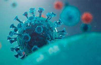 Ученые рассказали об опасных особенностях индийского штамма коронавируса «дельта плюс» - ont.by - штат Махараштра - India