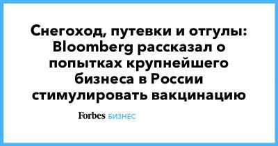 Снегоход, путевки и отгулы: Bloomberg рассказал о попытках крупнейшего бизнеса в России стимулировать вакцинацию - forbes.ru - Россия