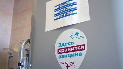 Анастасия Ракова - Ракова назвала сроки поступления «Спутник Лайт» для вакцинации иностранцев - iz.ru - Москва - Израиль