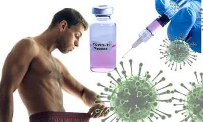 Учёные рассказали «Блокноту», как вакцинирование от ковида влияет на детородную функцию человека - bloknot.ru