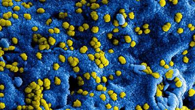 Индия признала новый штамм коронавируса «вызывающим беспокойство» - gazeta.ru