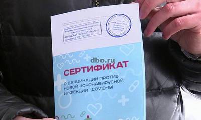 В Москве задержали еще трех продавцов поддельных сертификатов о вакцинации - og.ru - Россия - Москва