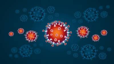 Выявлена главная особенность индийской мутации коронавируса - inforeactor.ru