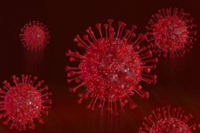 Джордж Мейсон Анч - Биолог рассказала о главной опасности индийского штамма коронавируса - aif.ru