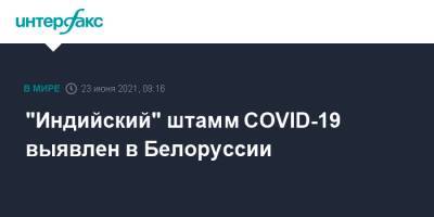 "Индийский" штамм COVID-19 выявлен в Белоруссии - interfax.ru - Москва - Минск
