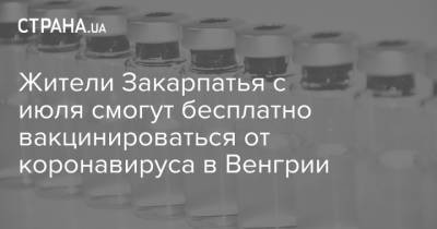Жители Закарпатья с июля смогут бесплатно вакцинироваться от коронавируса в Венгрии - strana.ua - Венгрия - Закарпатья