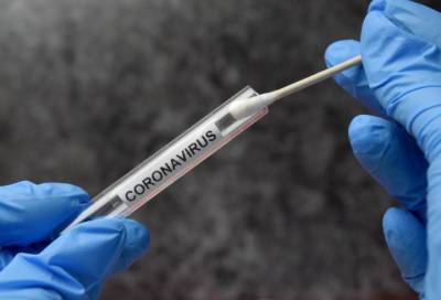 Более 35 тыс. человек сдали тест на коронавирус в Петербурге за минувшие сутки - online47.ru - Санкт-Петербург