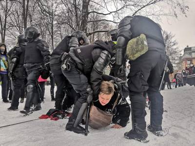 Правозащитники раскритиковали доклад России в ООН о зимних протестах - znak.com - Россия