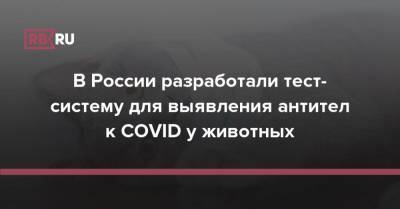 В России разработали тест-систему для выявления антител к COVID у животных - rb.ru - Россия