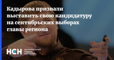 Рамзан Кадыров - Кадырова призвали выставить свою кандидатуру на сентябрьских выборах главы региона - nsn.fm - Франция - республика Чечня