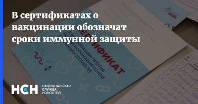 Татьяна Голикова - В сертификатах о вакцинации обозначат сроки иммунной защиты - nsn.fm