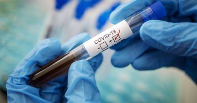 В Украине ввели обязательные тесты на коронавирус для прибывших из четырех стран - dsnews.ua - Россия - Англия - Португалия