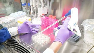 В США заявили об опасности штамма коронавируса «Дельта» - iz.ru - Израиль