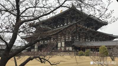 Император Японии обеспокоен риском всплеска Covid-19 из-за Олимпиады - newdaynews.ru - Токио