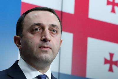 Ираклий Гарибашвили - В Грузии объявили амнистию для нарушителей карантина - lenta.ru - Грузия