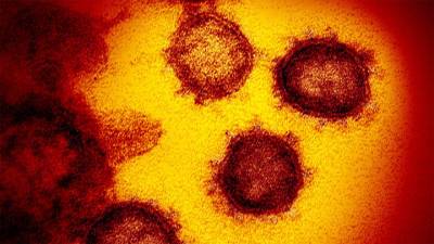 Bloomberg: генетический код уханьского коронавируса изъят из баз данных - vesti.ru - Сша - Китай - Ухань