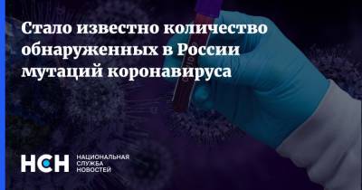 Ринат Максютов - Стало известно количество обнаруженных в России мутаций коронавируса - nsn.fm - Россия - Сочи