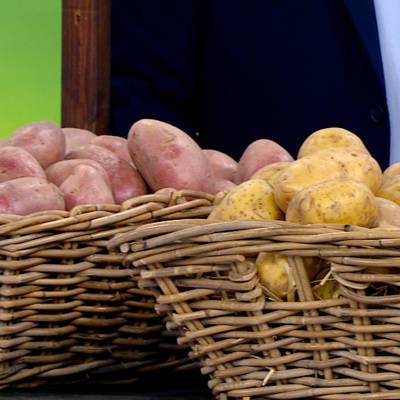 В Швейцарии из-за коронавируса резко выросло потребление картофеля - radiomayak.ru - Швейцария