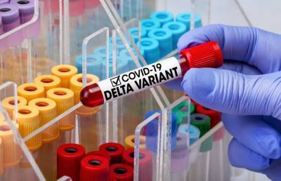 Сумья Сваминатан - В ВОЗ заявили, что индийский штамм коронавируса в два раза заразнее - ont.by - Белоруссия - Индия