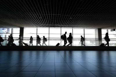 ФАС изучит тарифы на наземное обслуживание в московских аэропортах - pnp.ru