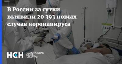 В России за сутки выявили 20 393 новых случая коронавируса - nsn.fm - Россия