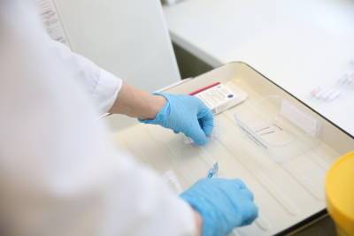 Петербургские лаборатории «Инвитро» перестали проводить тесты на антитела к COVID-19 - spb.mk.ru - Санкт-Петербург - Москва - Новосибирск