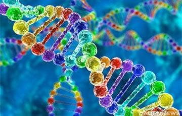 Ученые: В ДНК людей нашли свидетельства древней эпидемии коронавируса - charter97.org - Белоруссия