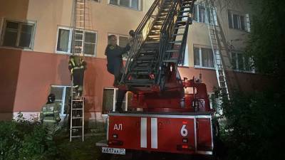 Пожарный и ребенок погибли при пожаре в Ивановской области - iz.ru - Израиль - Ивановская обл.