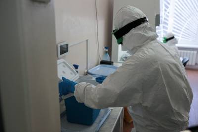 В Челябинской области за сутки коронавирусом заразились 149 человек - znak.com - Челябинская обл.