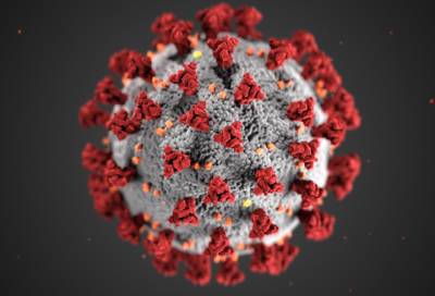 Почти 44 тыс. человек сдали тест на коронавирус в Петербурге за минувшие сутки - online47.ru - Санкт-Петербург