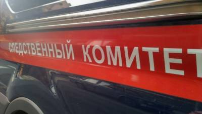 Пожилой мужчина погиб при падении из окна ковидной больницы в Новосибирске - newinform.com - Новосибирск