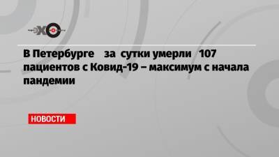 В Петербурге за сутки умерли 107 пациентов с Ковид-19 – максимум с начала пандемии - echo.msk.ru - Санкт-Петербург