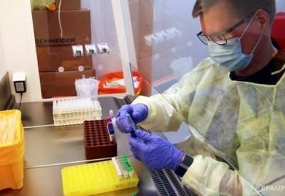 В Бразилии зафиксировали новый штамм коронавируса - facenews.ua - Украина - Бразилия - Аргентина - Чили