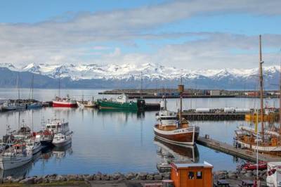 В Исландии власти приняли решение отказаться от всех ограничений из-за COVID-19 - argumenti.ru - Исландия