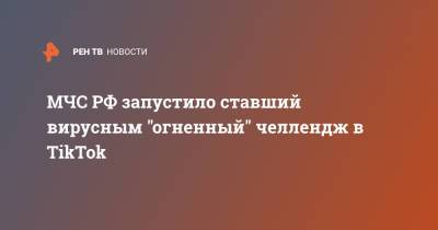 МЧС РФ запустило ставший вирусным "огненный" челлендж в TikTok - ren.tv - Россия