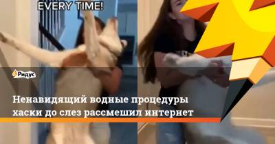Ненавидящий водные процедуры хаски до слез рассмешил интернет - ridus.ru