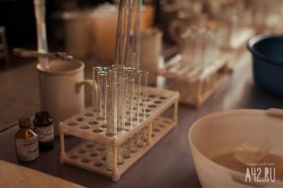 Учёные обнаружили в Индии один из самых опасных вирусов - gazeta.a42.ru - Индия