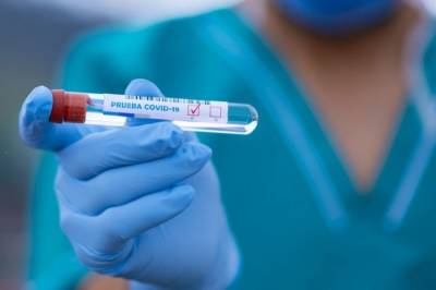 В РФ за сутки выявили 20 538 случаев коронавируса - aif.ru - Россия