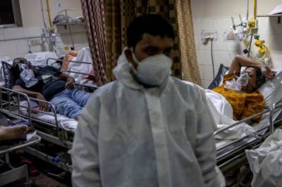 В Индии обнаружили смертельно опасный для человека вирус Нипах - aif.ru - Индия