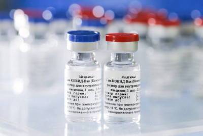 Гинцбург заявил, что изменить вакцину от коронавируса из-за мутации можно за неделю - abnews.ru - Россия