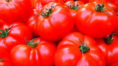 С 28 июня возобновляются поставки томатов и перца из Узбекистана - vesti.ru - Узбекистан