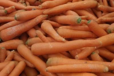 Власти Башкирии назвали причины скачка цен на морковь - ufacitynews.ru - республика Башкирия