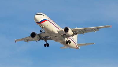 Российские авиакомпании компенсировали убытки за счёт внутренних рейсов - dp.ru - Россия