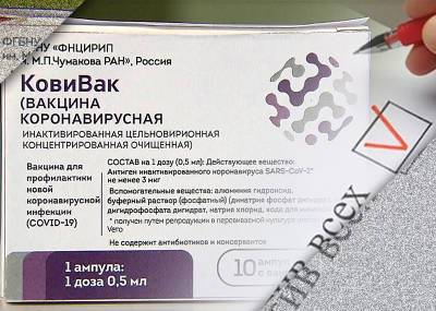 Политолог сравнил ажиотаж вокруг вакцины Чумакова с кандидатом «Против всех» в лихие нулевые - mskgazeta.ru - Москва