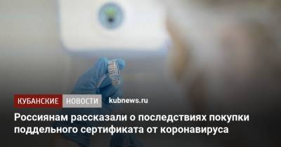 Андрей Клишас - Россиянам рассказали о последствиях покупки поддельного сертификата от коронавируса - kubnews.ru - Россия
