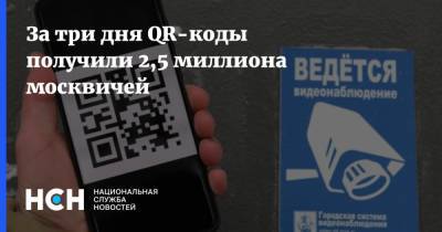 За три дня QR-коды получили 2,5 миллиона москвичей - nsn.fm - Москва